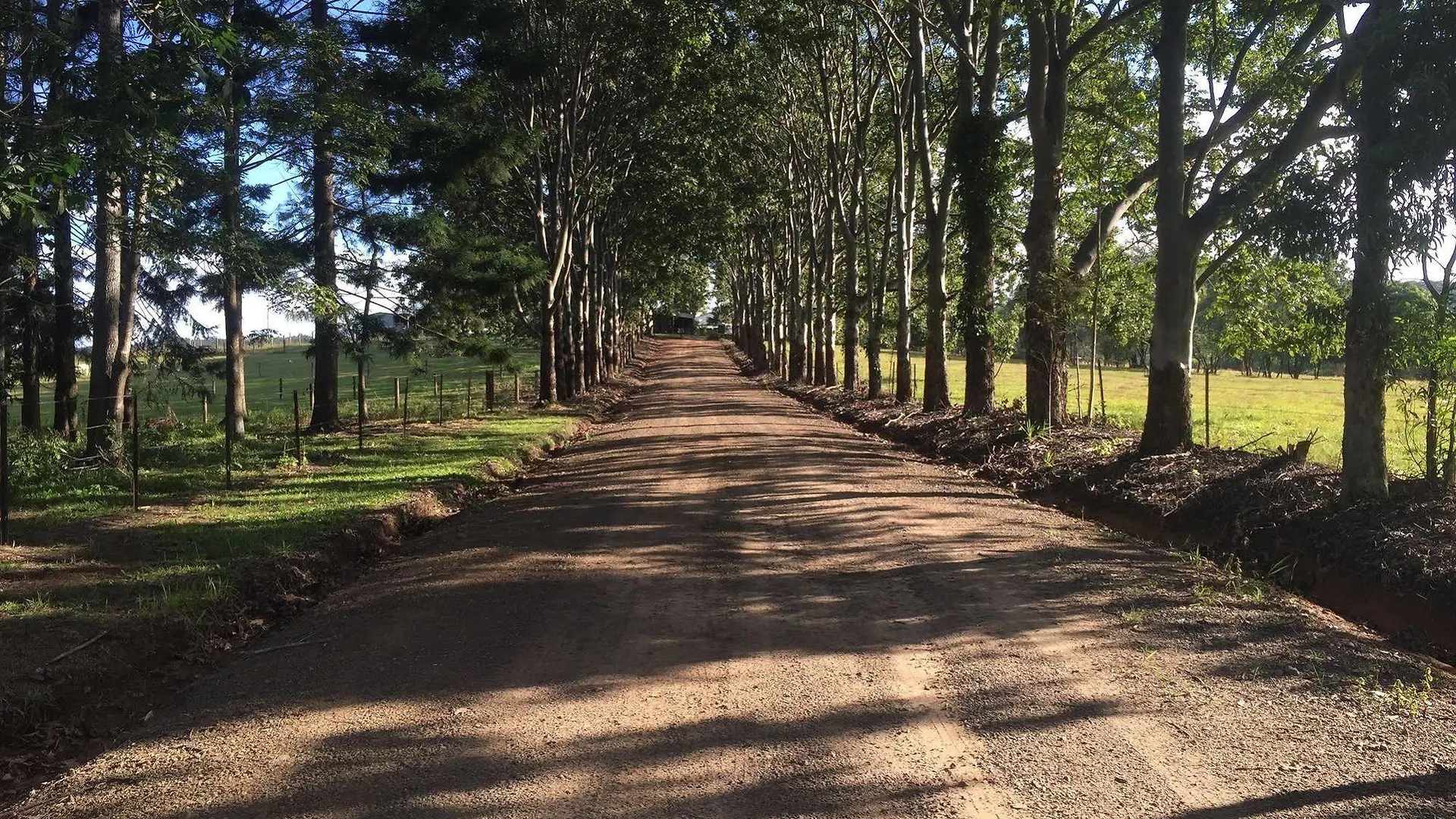 Blackwattle Farm B&B Beerwah Australia