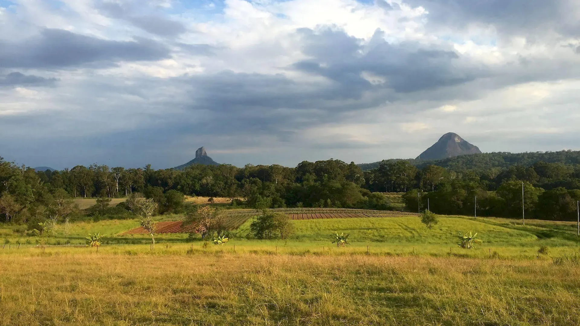 Blackwattle Farm B&B Beerwah 0*,