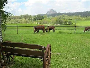 Blackwattle Farm B&B Beerwah Australia