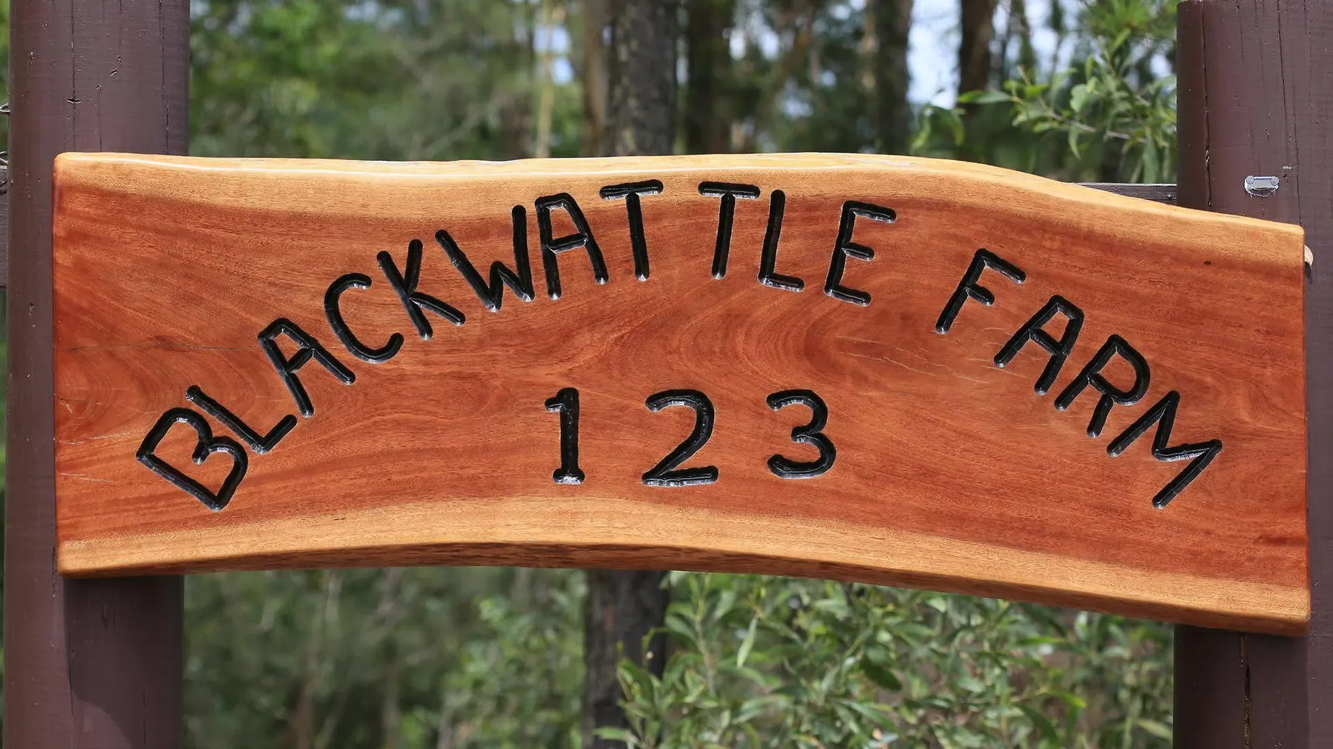 Hotel Blackwattle Farm B&B Beerwah